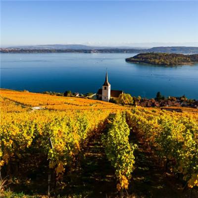 香港2023正版免费资料下载手机版